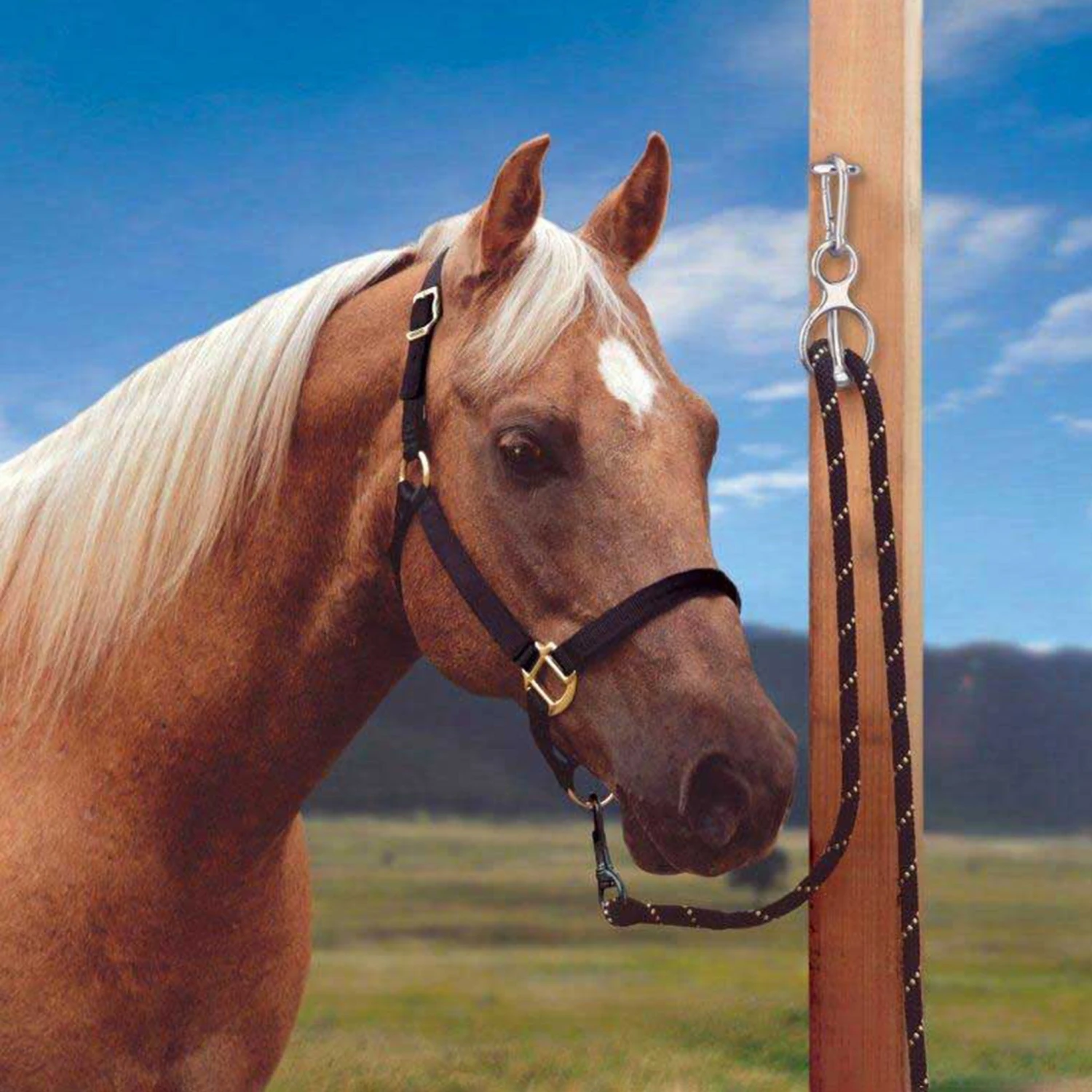 Blocker Tie Ring II 4 Blocker Tie Ring II - Image 2