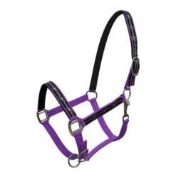 Neoprene Halter With Barbwire Design -Weaver Leather Cowboy Store 15826purp 89e30f17 05d1 4e20 a469 8fe5bef7a889