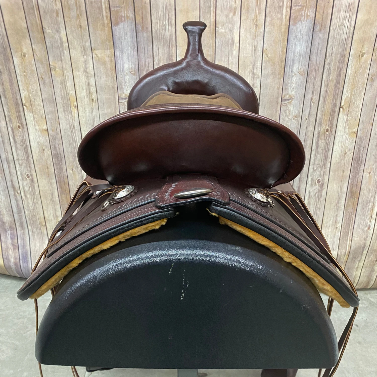 Circle Y Apache Trail Saddle With Shell Border And Tan Seat, 16 Inch 6 Circle Y Apache Trail Saddle With Shell Border And Tan Seat, 16 Inch - Image 4