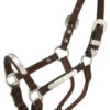 Royal King Silver Bar Mini Show Halter -Weaver Leather Cowboy Store 18 43 32