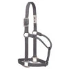 Weaver Leather Medium Graphite Nylon Halter -Weaver Leather Cowboy Store 35 7385 GH