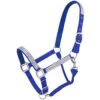 Royal Blue Adjustable Nylon Halter With Crystal Accents 2 Royal Blue Adjustable Nylon Halter With Crystal Accents -Weaver Leather Cowboy Store 50 3032 4