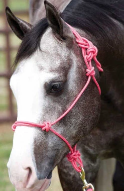 Solid Glitter Rope Halter - Pink/Gold Glitter