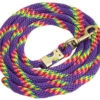 Rainbow Glitter Confetti Lead With Bolt Snap - Purple -Weaver Leather Cowboy Store 706167