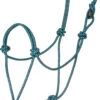 Mustang Premium Nylon Rope Halter - Turquoise/Black