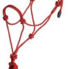 Mustang Foal Economy Rope Halter And Lead - Red/White -Weaver Leather Cowboy Store 8103 AT