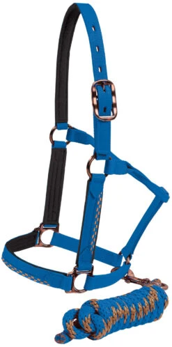 Mustang Bronze Halter And Lead - Blue