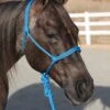 Professional's Choice Turquoise Ranch Hand Rope Halter