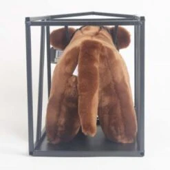 Little Buster Medium Clipping Chute -Weaver Leather Cowboy Store Halter5 540x358 38404275 fc45 409b b3f9 5ed0ce28633d