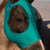 Professional's Choice Teal Pony Comfort Fly Mask -Weaver Leather Cowboy Store M143866418