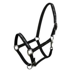 Neoprene Halter With Barbwire Design -Weaver Leather Cowboy Store Screenshot 2022 05 17 133519Black