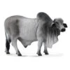 Breyer Brahma Bull