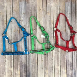 Small Horse Halter