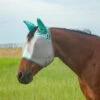 Cashel Mint Fly Mask With Ears -Weaver Leather Cowboy Store cfmhse 20mt