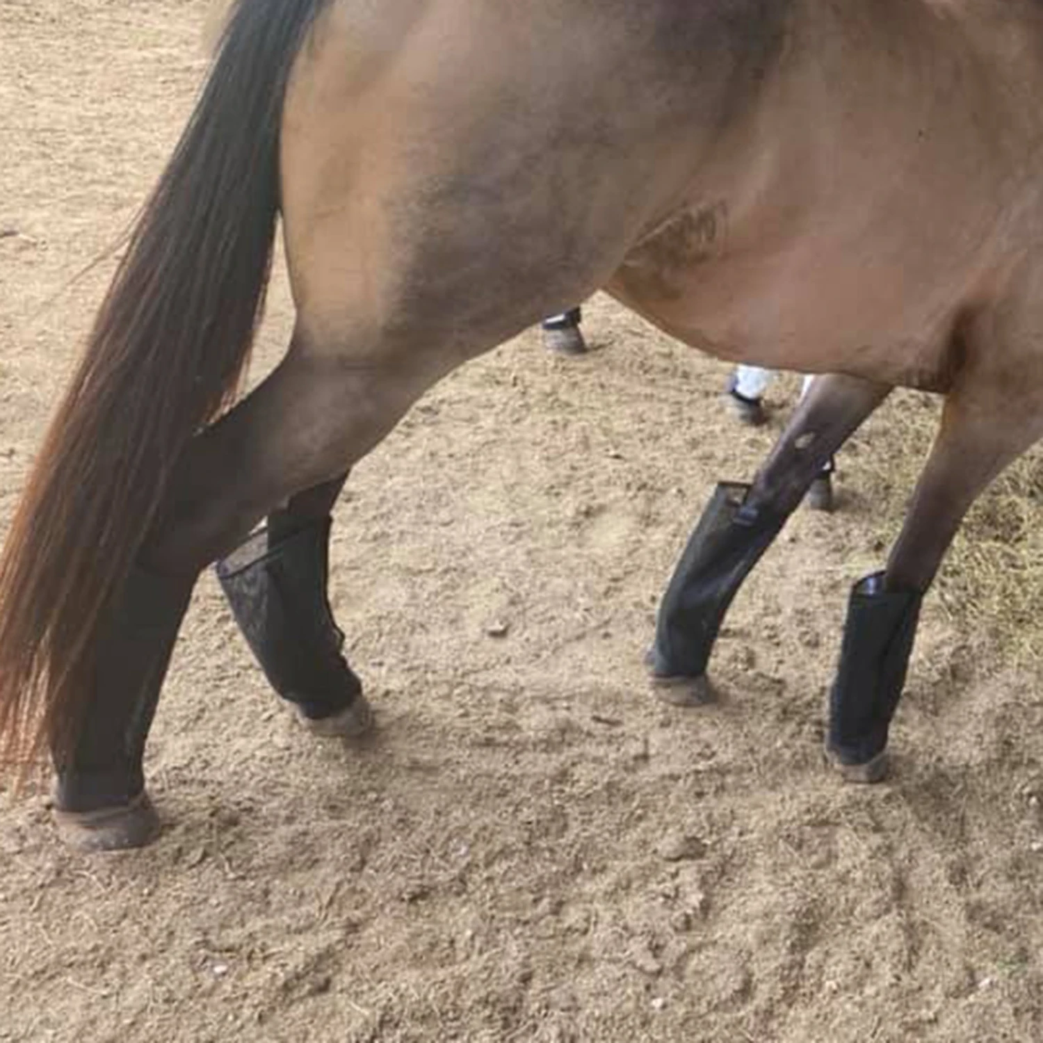 Fly Free Insect Protection Boots - Black 4 Fly Free Insect Protection Boots - Black - Image 2