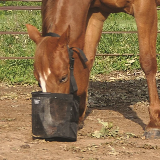 Cashel Black Feed Rite Bag 3 Cashel Black Feed Rite Bag