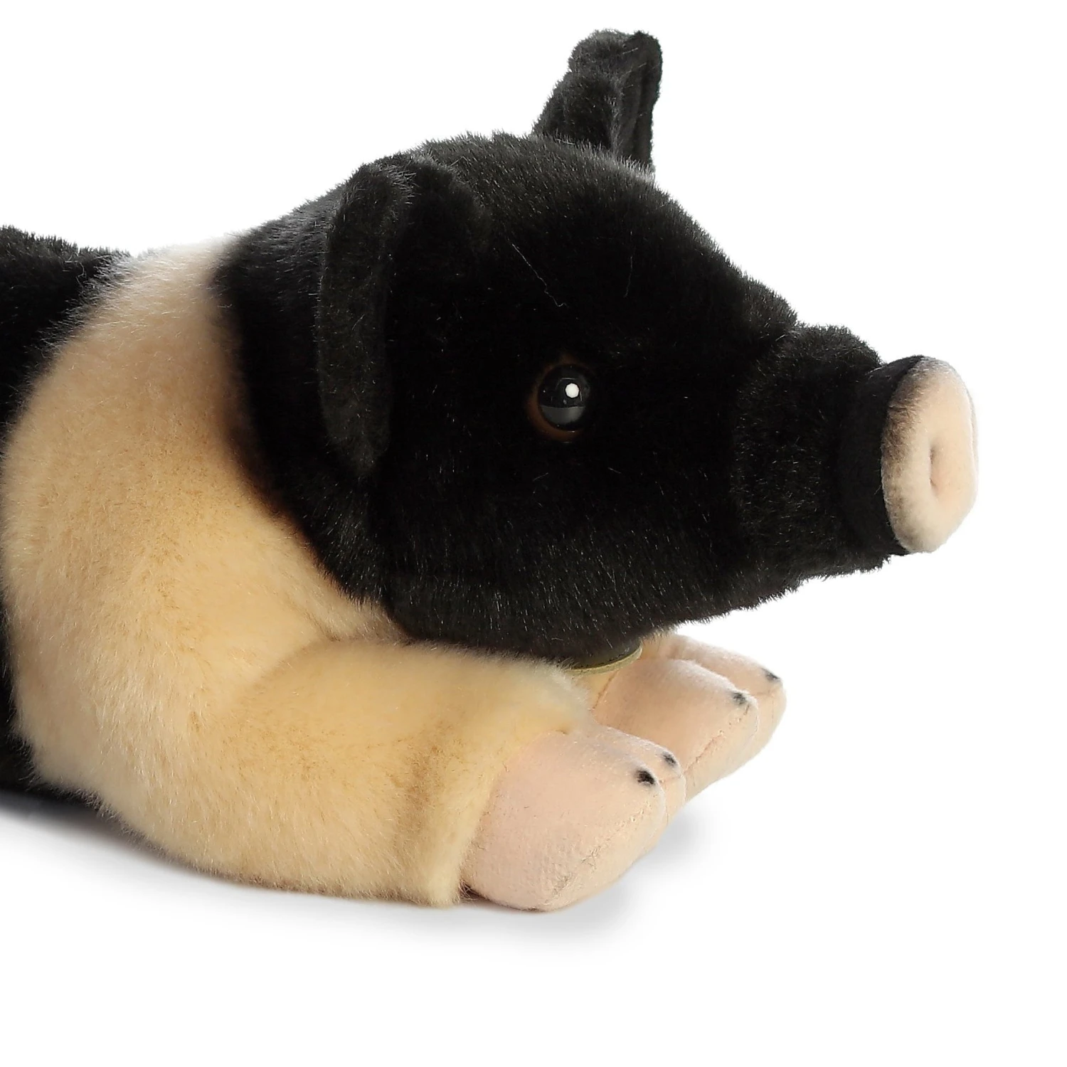 Aurora Miyoni Plush Hampshire Pig 3 Aurora Miyoni Plush Hampshire Pig