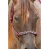 Professional's Choice Professional Choice- Burgundy Beaded Rope Halter -Weaver Leather Cowboy Store hrb bur large c3eed8ee b126 4a2b 88f9 d4c63009bb26