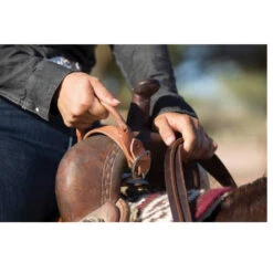 Professional's Choice Night Latch 5 Professional's Choice Night Latch -Weaver Leather Cowboy Store nightlatch