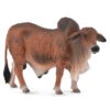 Breyer Red Brahma Bull 1 Breyer Red Brahma Bull -Weaver Leather Cowboy Store red brahman bull model breyer 863510 600x 2x 0164ddc6 587e 4aba b2d6 65e001e045bb